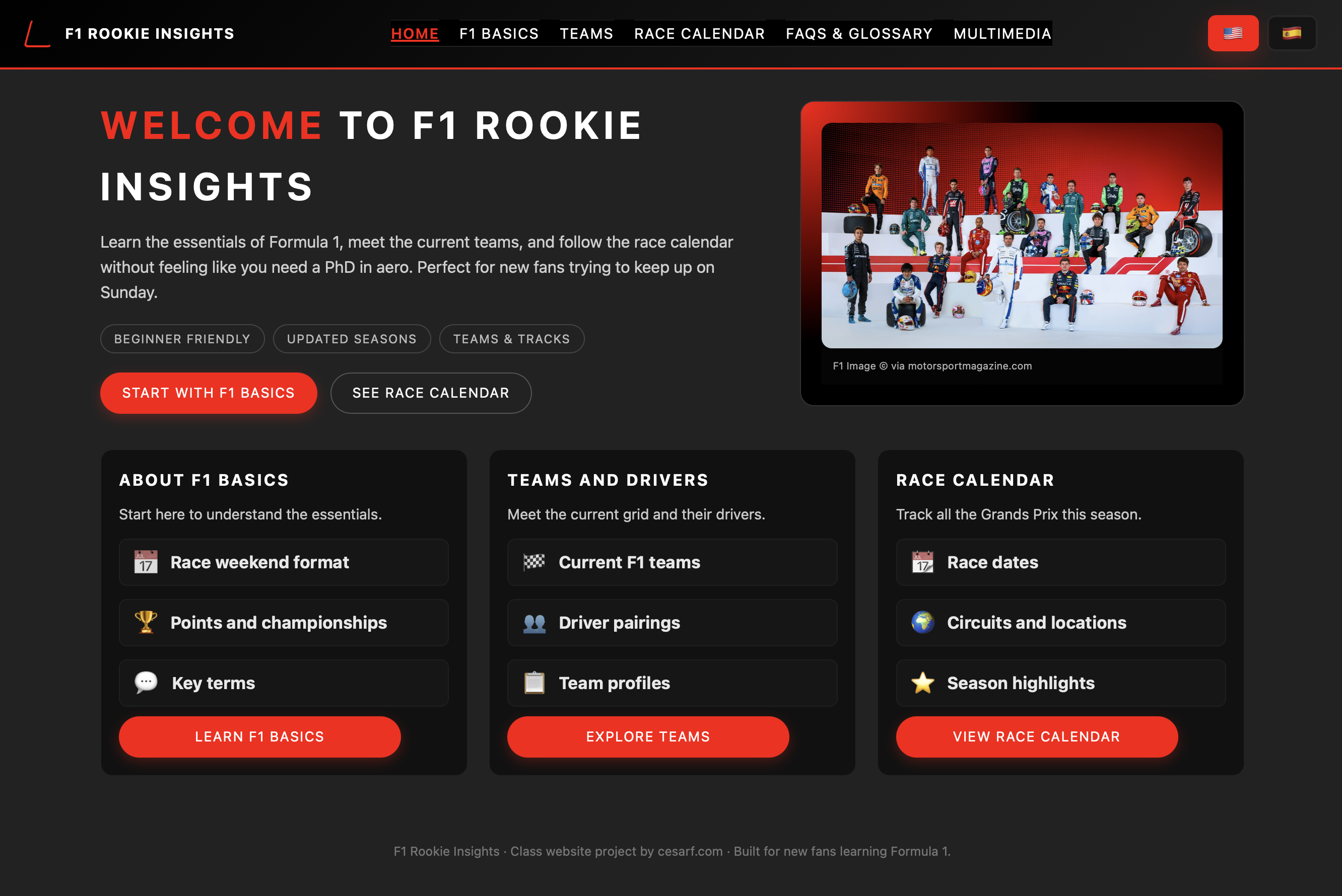 F1 Rookie Insights homepage preview